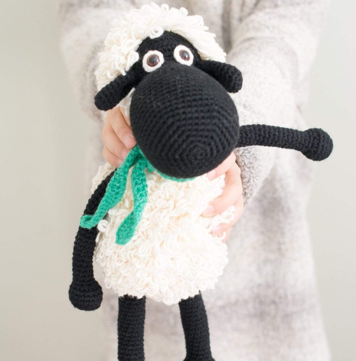 Shelly the sheep
