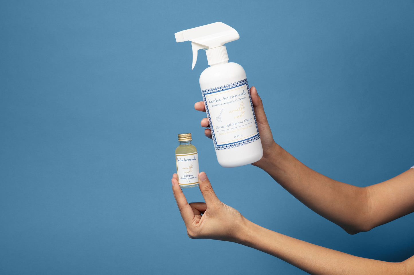 cleaner concentrate
